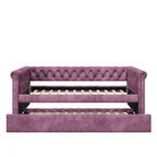 Christopher Knight Home - Augusta Velvet Upholstered Tufted Daybed with Trundle Design