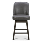 Phoebe Modern Counter Height Barstool Set of 2