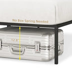 14 Inch Metal Bed Frame with Storage Platform, No Box Spring Needed, Load Up to 500Lbs