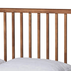 Neilan Modern and Contemporary Walnut Brown Finished Wood Platform Bed