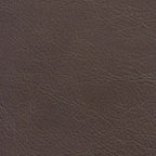 Hydeline Ashby Top Grain Leather Loveseat With Feather, Memory Foam and Springs