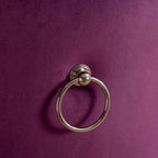 Set of 2 Velvet Dining Chairs with Nailhead Trim and Chrome-Plated Stainless Steel Legs