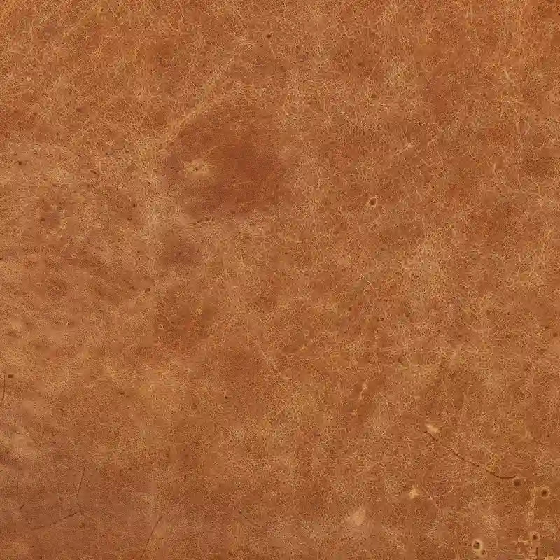 Poly and Bark Lyon Lounge Chair - Genuine Italian Leather