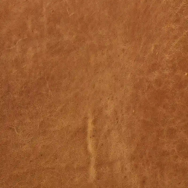 Poly and Bark Lyon Lounge Chair - Genuine Italian Leather